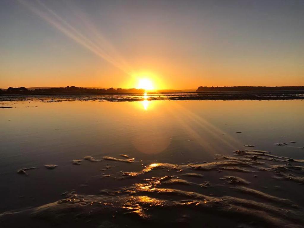 Taverner - Self Catering Holiday Home Close To Poole Quay Exteriör bild